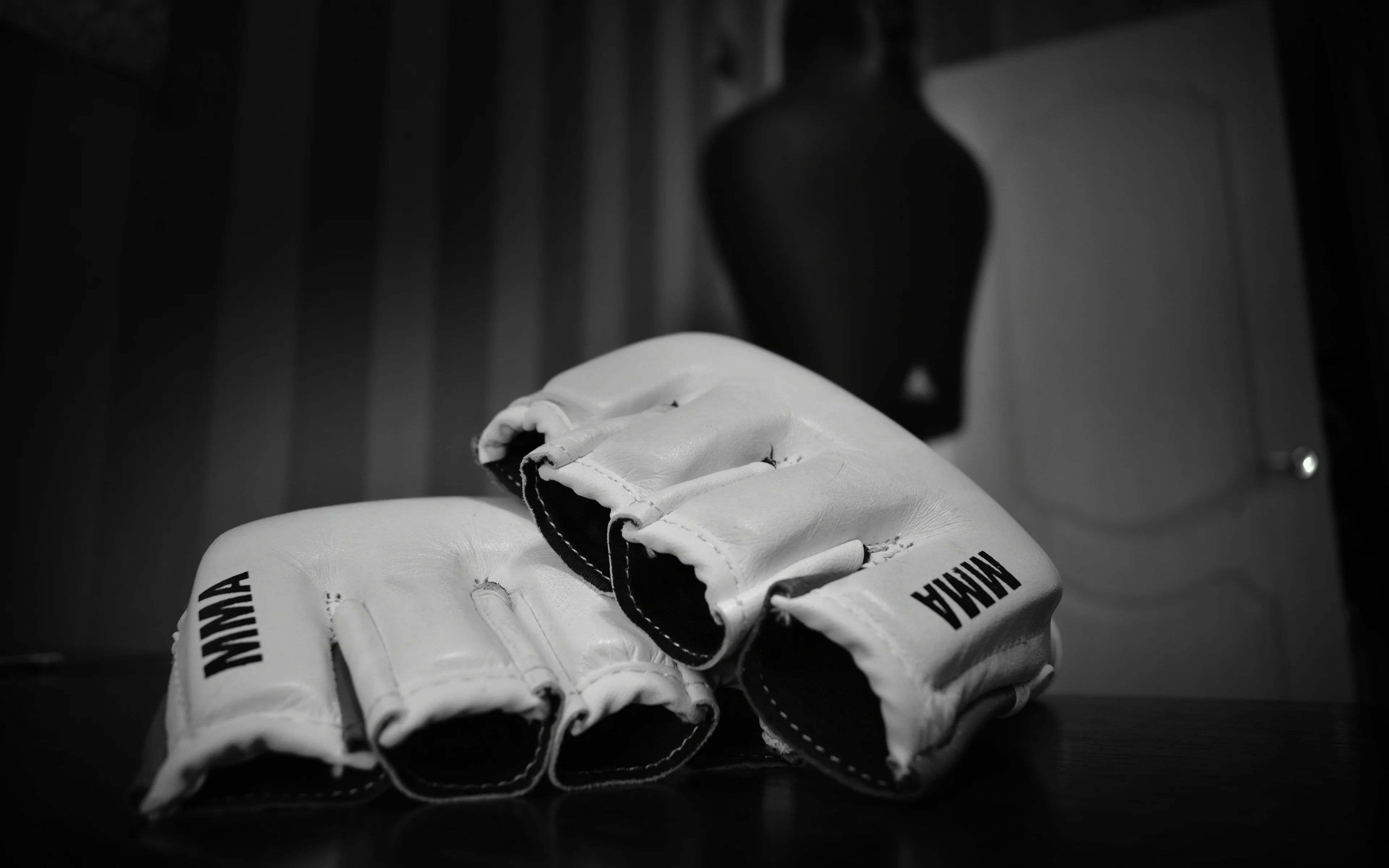 Muay Thai Training